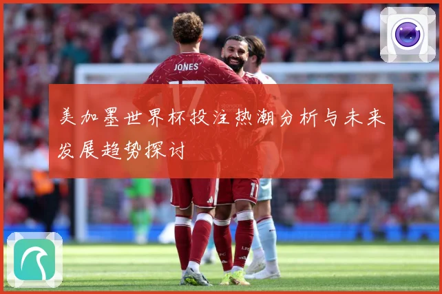 美加墨世界杯投注热潮分析与未来发展趋势探讨
