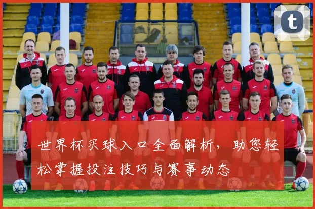 世界杯买球入口全面解析，助您轻松掌握投注技巧与赛事动态