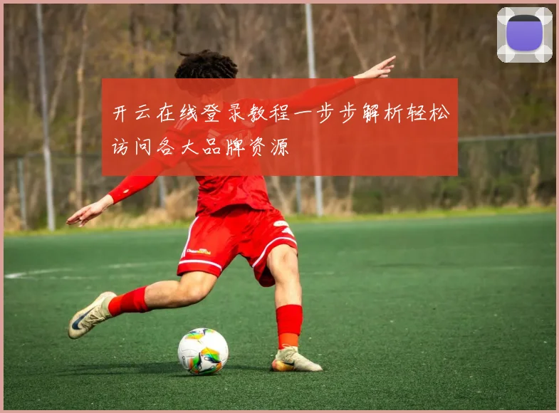 开云在线登录教程一步步解析轻松访问各大品牌资源