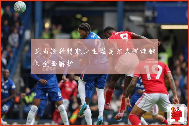 亚当斯科特职业生涯高尔夫辉煌瞬间全面解析