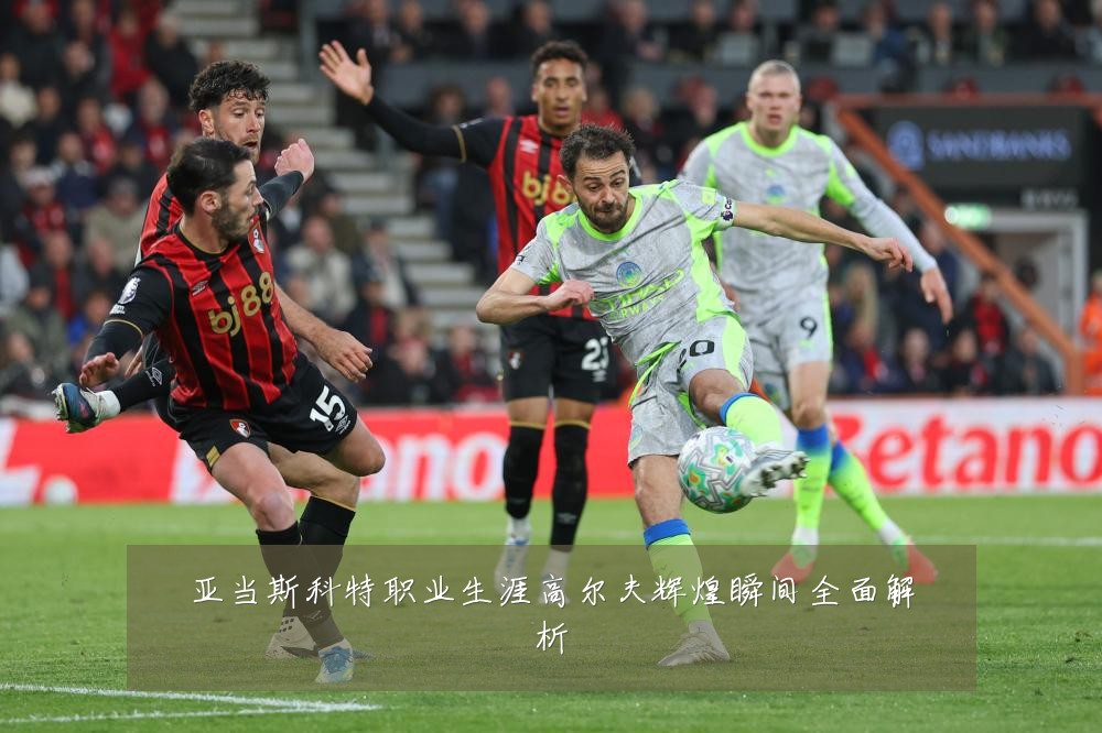 亚当斯科特职业生涯高尔夫辉煌瞬间全面解析