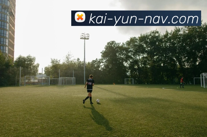 开云平台展示图