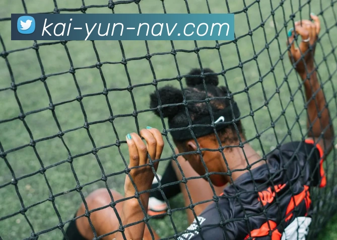 开云官网全站App